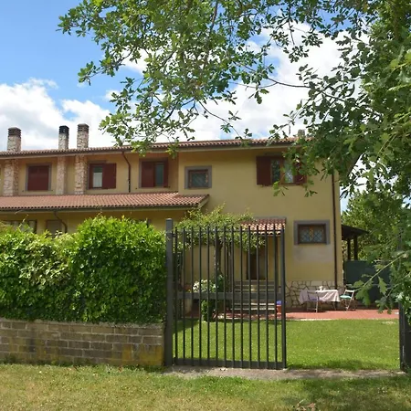 Gli Eucalipti_la Genziana E Il Sambuco *